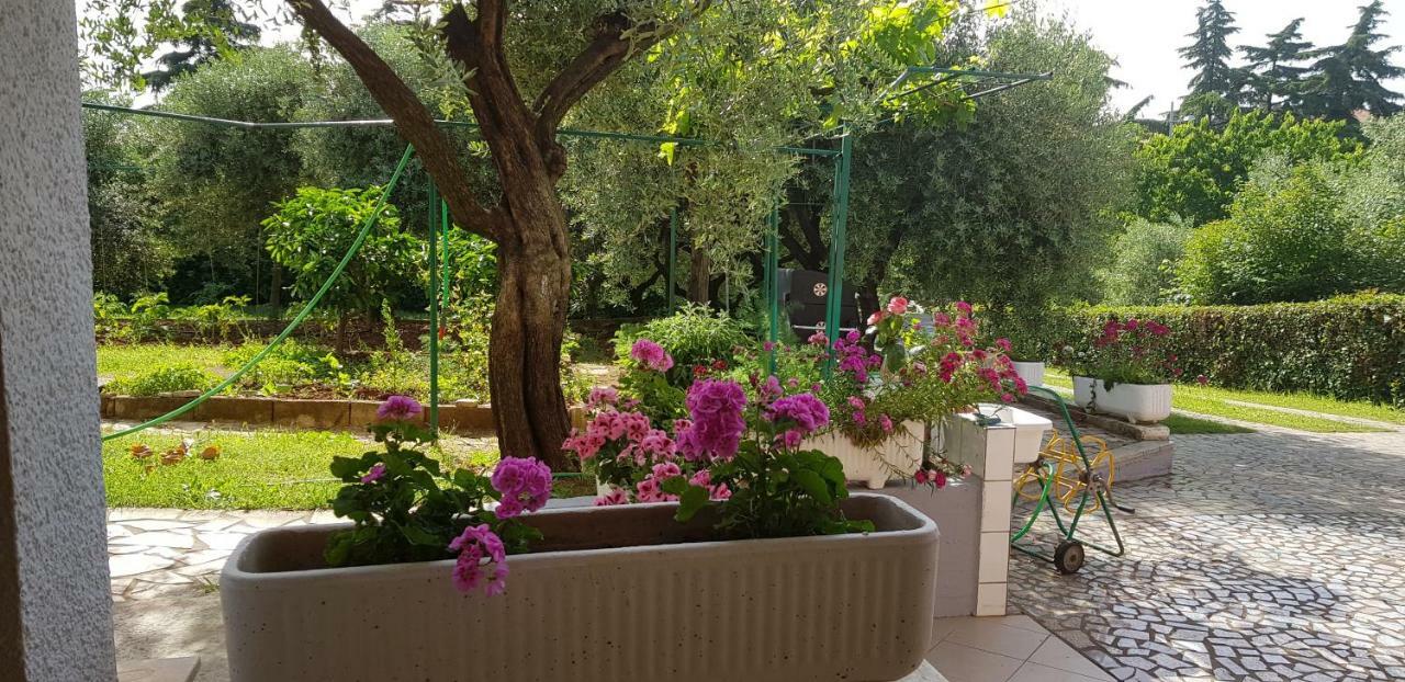 Apartmán Clara 2 Poreč Exteriér fotografie